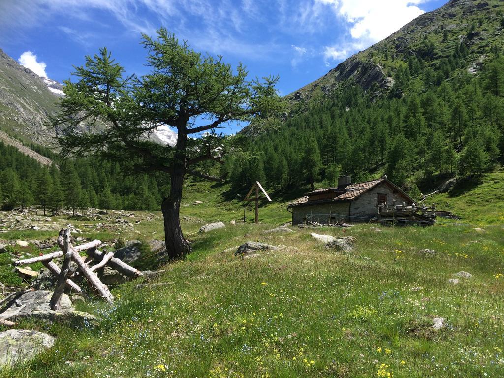 Chalet Sunstar Saas-Grund Eksteriør billede