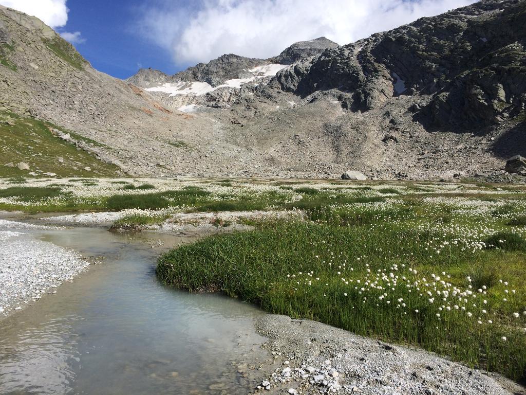 Chalet Sunstar Saas-Grund Eksteriør billede