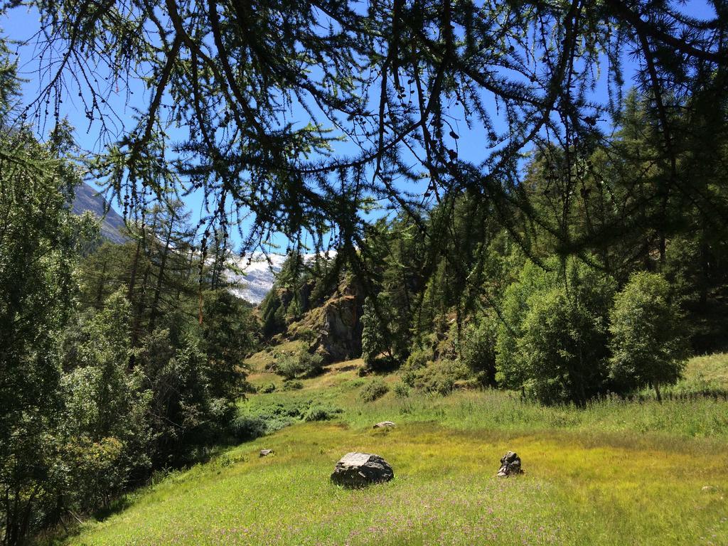 Chalet Sunstar Saas-Grund Eksteriør billede