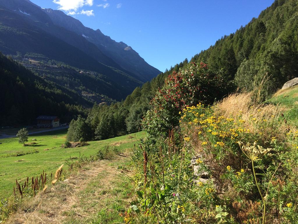 Chalet Sunstar Saas-Grund Eksteriør billede